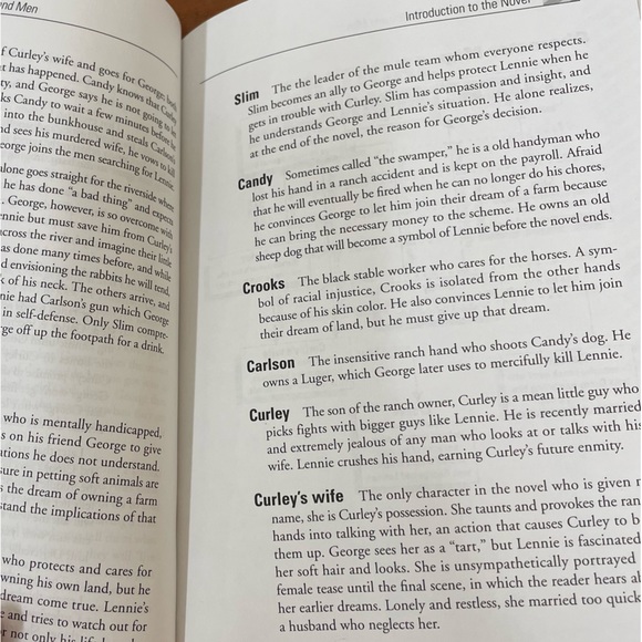 Cliff’s Notes Study Materials for “Of Mice and Men” and “To Kill a Mockingbird” - Picture 7 of 8